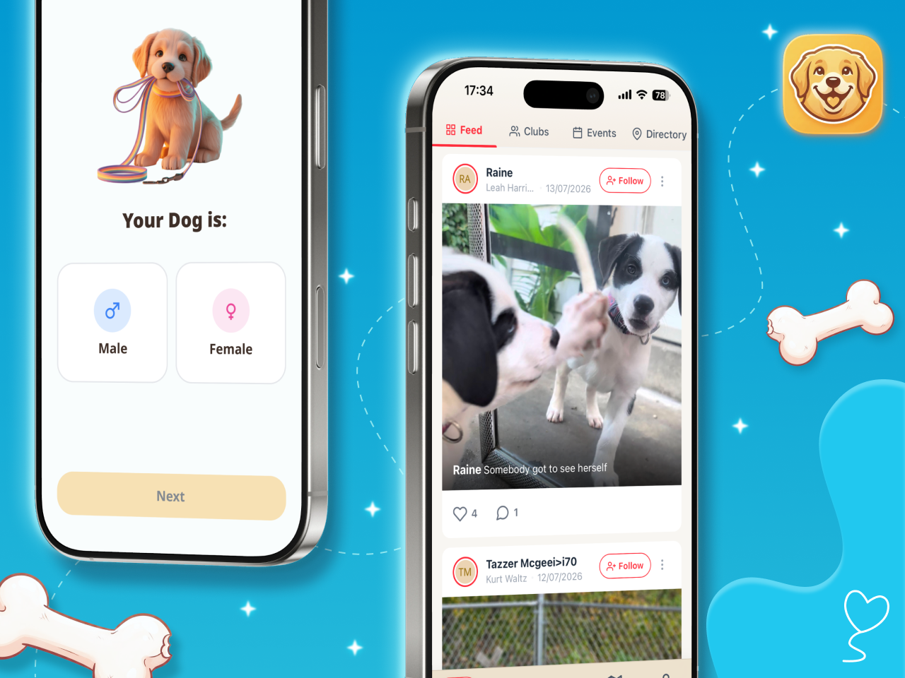 Dog Care – Training Plans preview
